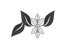 Untitled design (1)